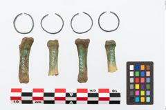 Foto von Bronzering (NHMW-PRAE-025442)